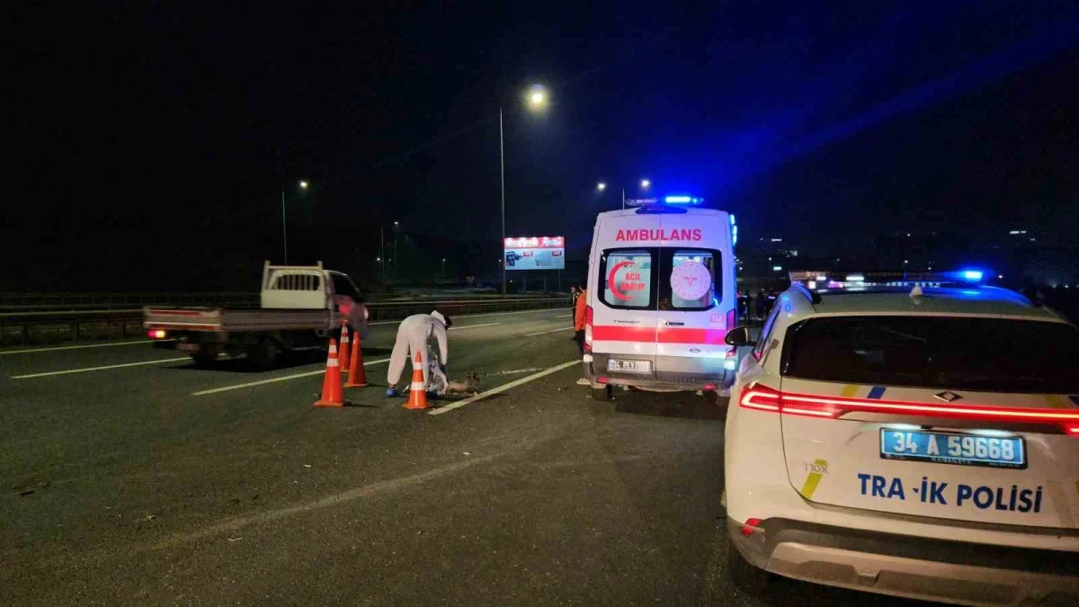 Kuzey Marmara'da kazada sürücü araçtan fırlayıp öldü