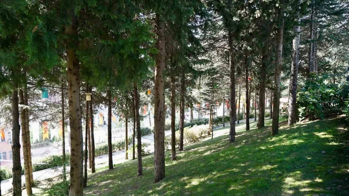 Kağıthane Gültepe Mesire Alanı hizmete açıldı