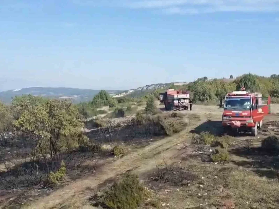 Bilecik Vezirhan'da örtü yangını: 2 hektar zarar gördü
