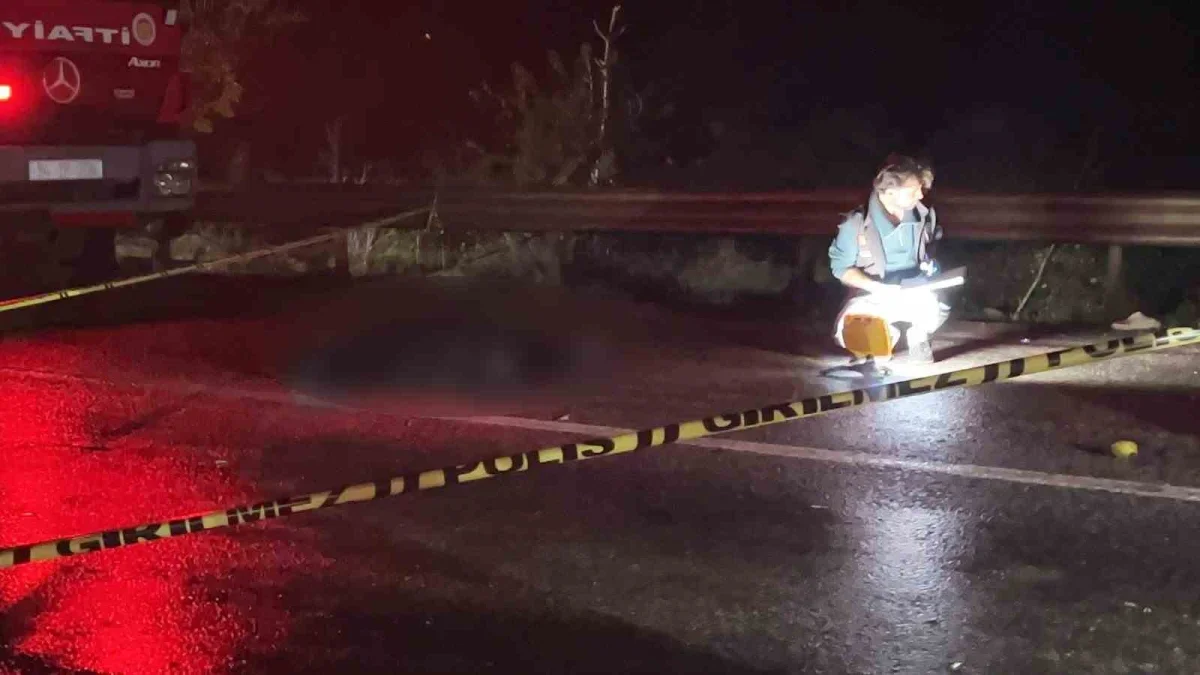 Sakarya'da 3 araçlı kazada 2 kişi öldü, 3 yaralı