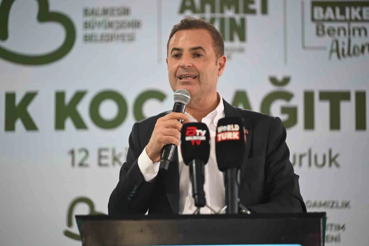 Susurluk'ta 47 damızlık koç üreticilere hibe edildi