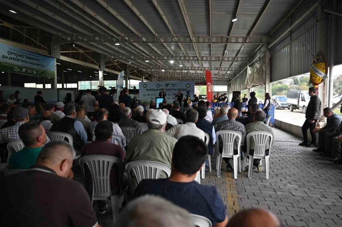 Susurluk'ta 47 damızlık koç üreticilere hibe edildi