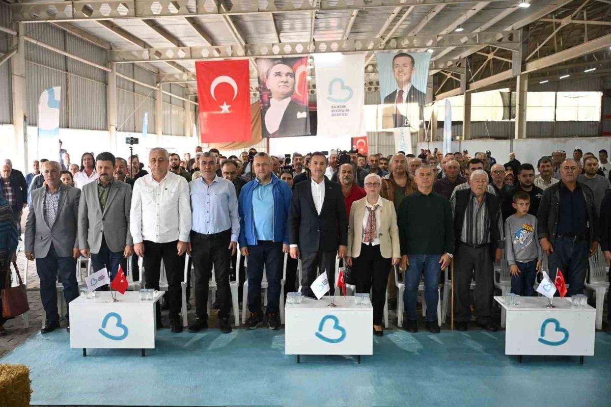 Susurluk'ta 47 damızlık koç üreticilere hibe edildi