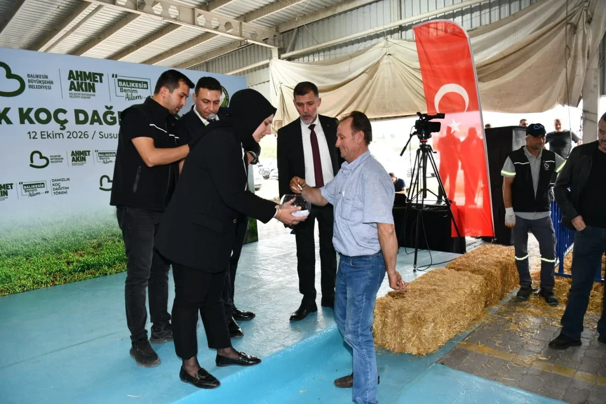 Susurluk'ta 47 damızlık koç üreticilere hibe edildi