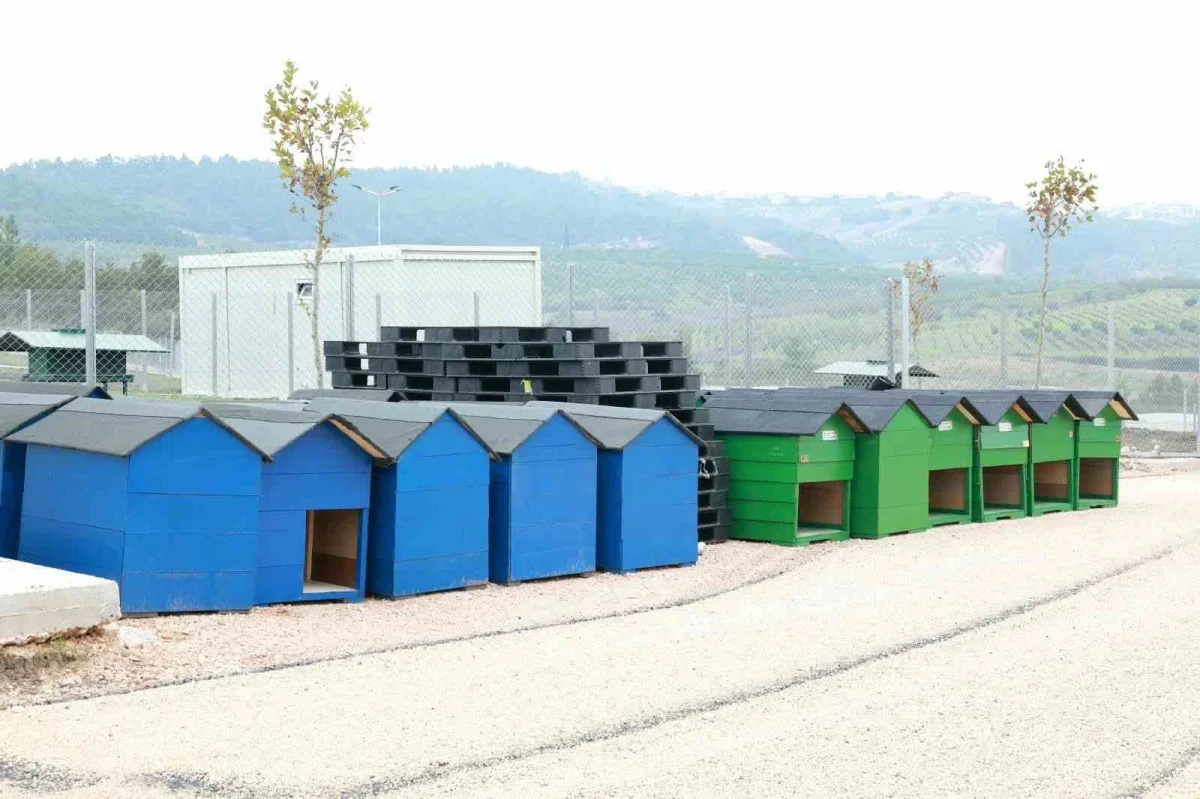 Osmangazi'de 5 bin 500 hayvanlık merkez sona yaklaştı