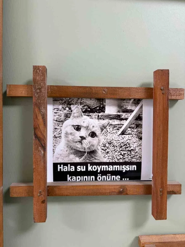Kaynarca'da öğretmen Pınar Tosun'dan hayvan sevgisi