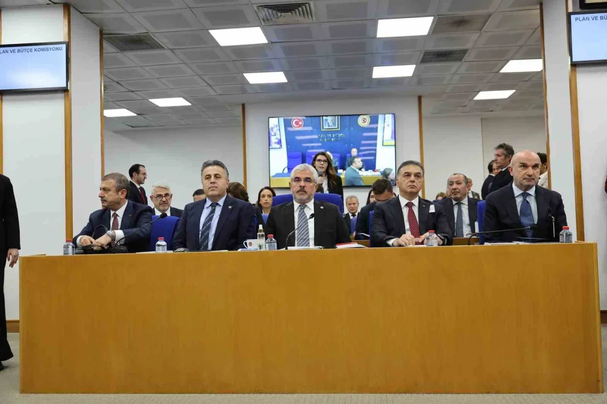 Yatırım fonu düzenlemesi komisyondan geçti: 1 milyon lira