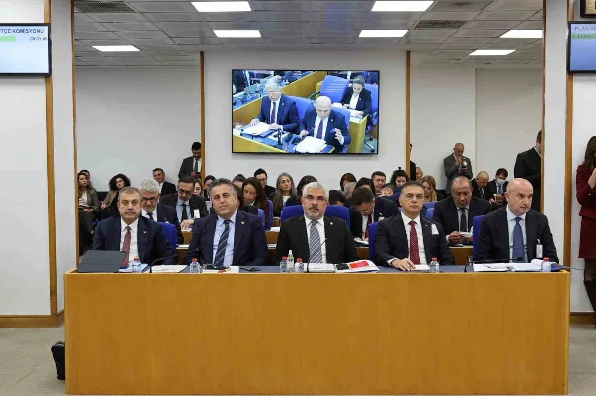 Yatırım fonu düzenlemesi komisyondan geçti: 1 milyon lira