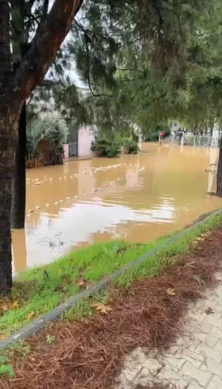 İznik'te dere taştı, mahalle ve sebze hali su altında