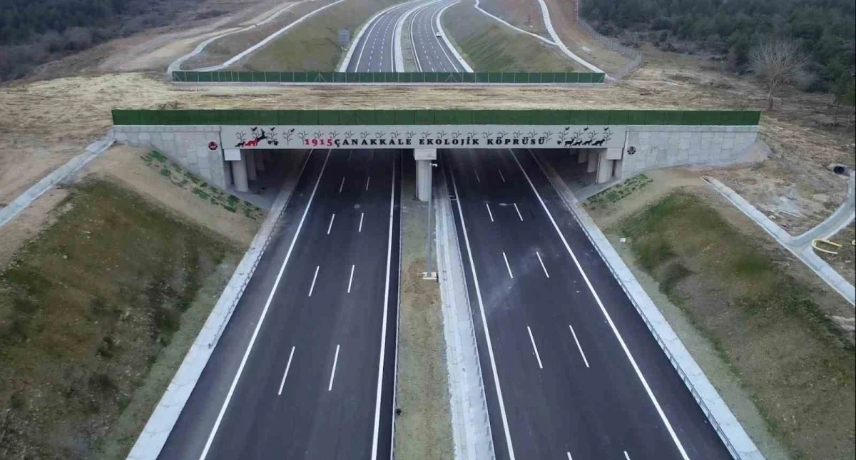 Türkiye'de 21 ekolojik köprü tamamlandı, 19'u planlanıyor