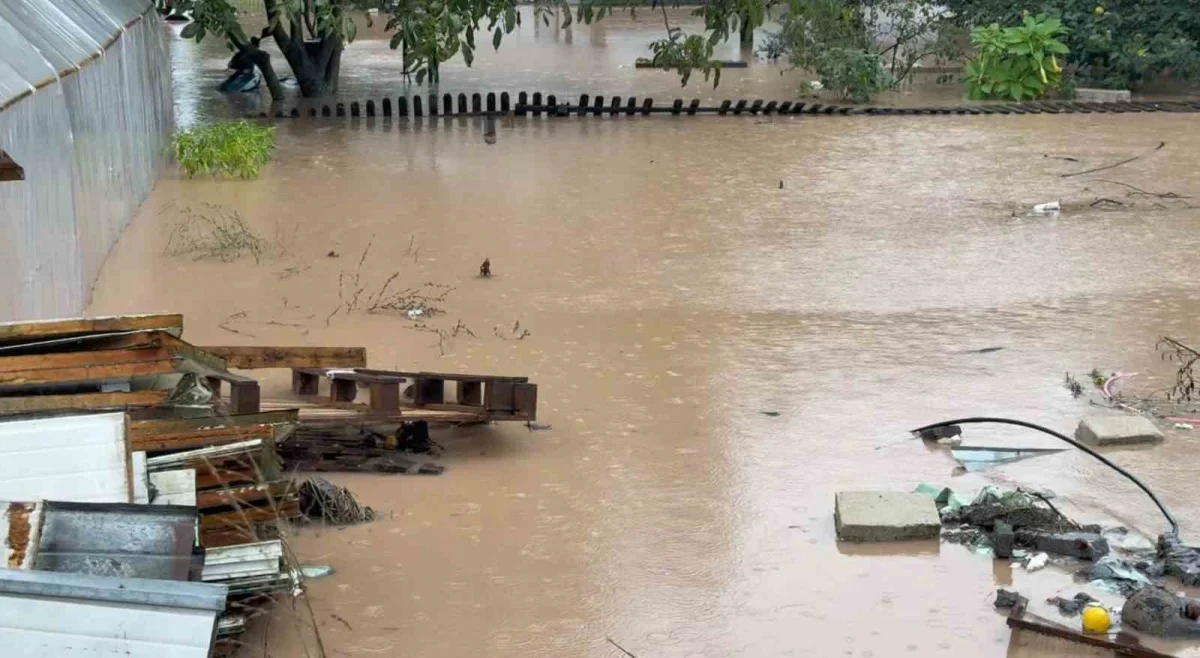 Kocaeli Başiskele'de sağanak, ev ve seraları bastı