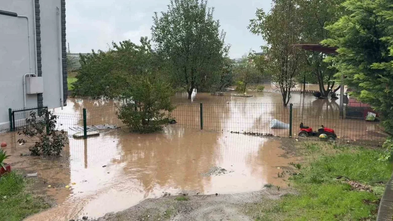 Kocaeli Başiskele'de sağanak, ev ve seraları bastı