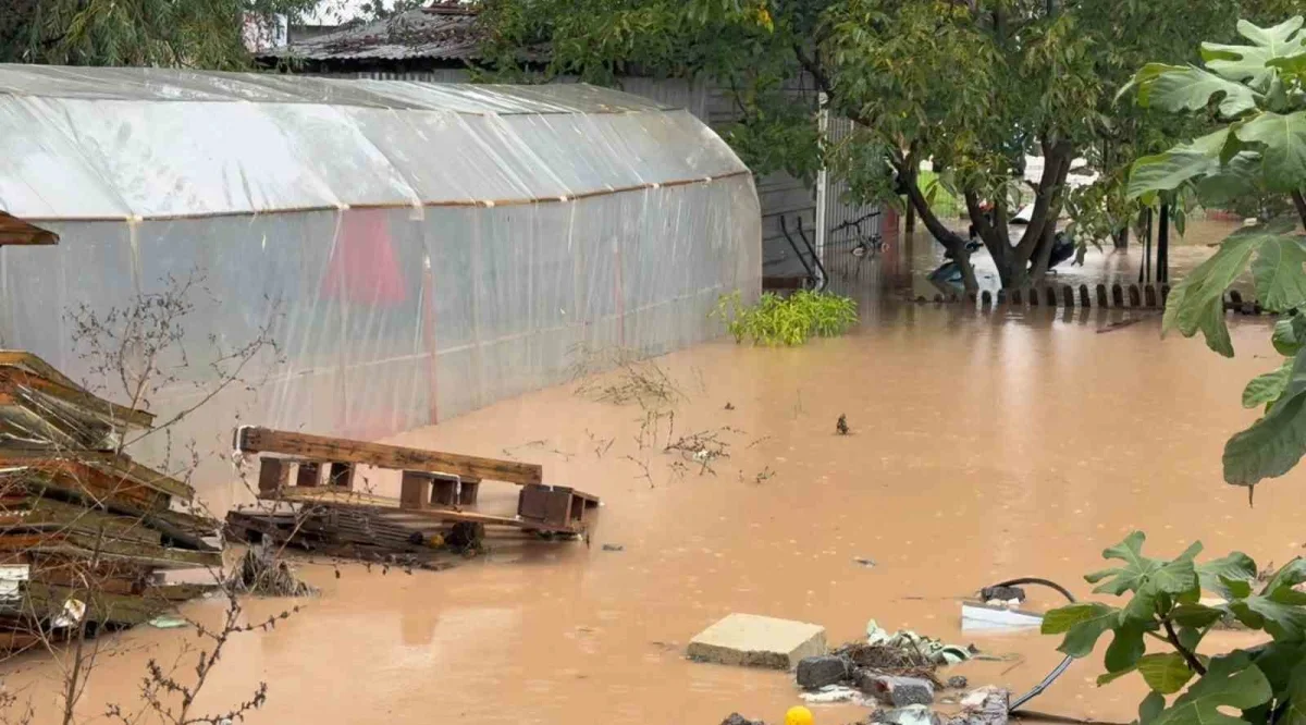 Kocaeli Başiskele'de sağanak, ev ve seraları bastı