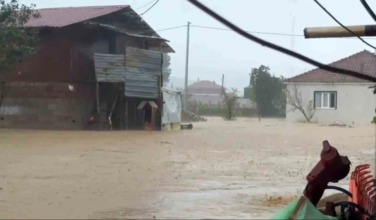 Sakarya selinde Kocaali'de 60 bin kanatlı telef oldu