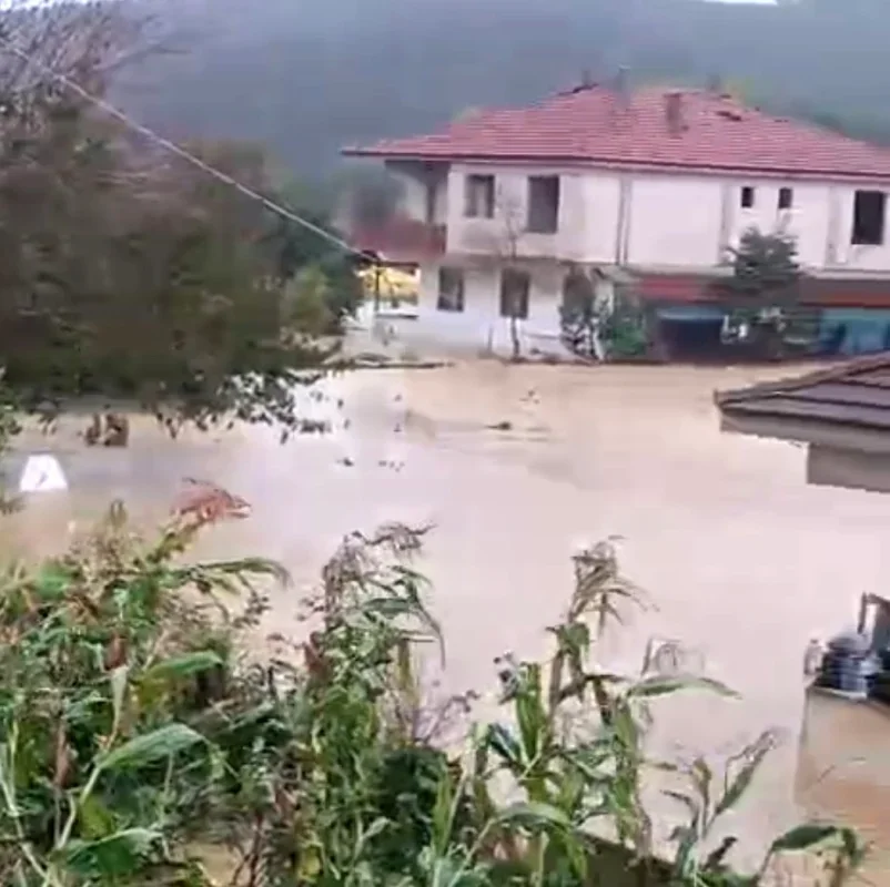 Sakarya selinde Kocaali'de 60 bin kanatlı telef oldu