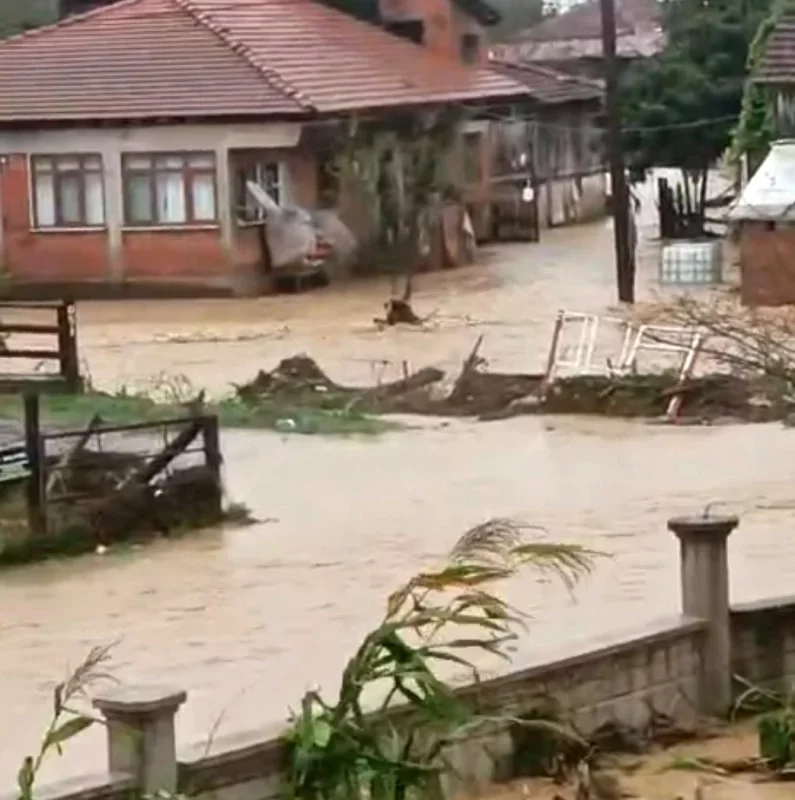 Sakarya selinde Kocaali'de 60 bin kanatlı telef oldu