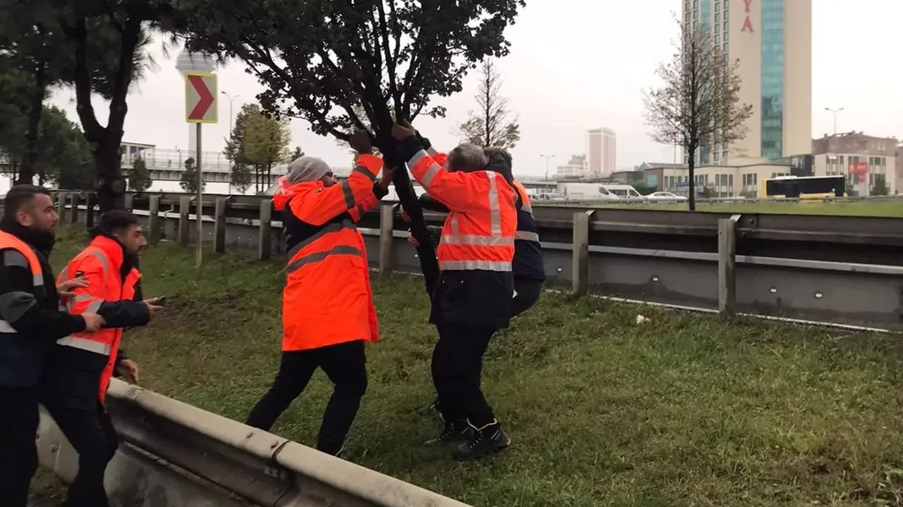 İstanbul'da yağış rekoru: Beykoz'a 277,1 kg düştü