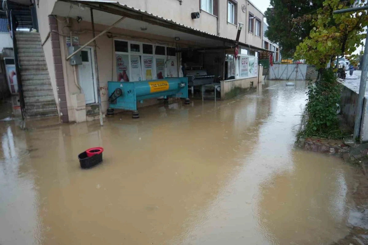 Kocaeli Başiskele'de sel, depoda 3 milyon TL hasar
