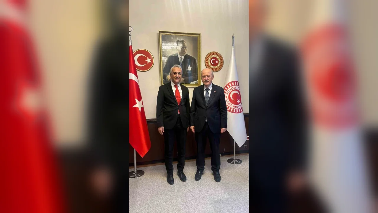 HEKİMSEN TBMM'de Hekimlik Meslek Kanunu için görüştü