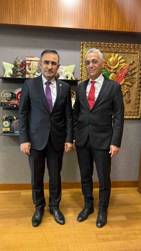 HEKİMSEN TBMM'de Hekimlik Meslek Kanunu için görüştü