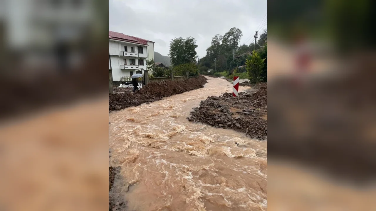 Sakarya selinde 80 yaşındaki adam merdivenle kurtarıldı