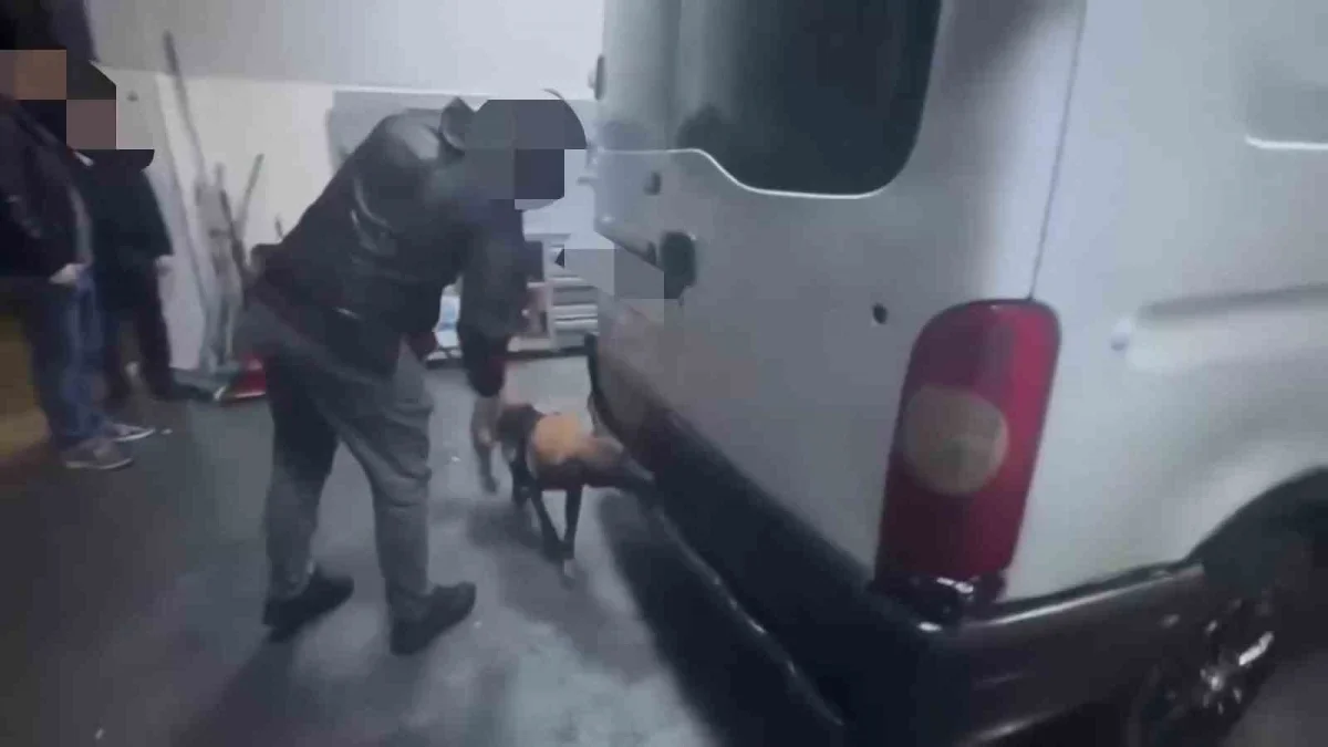 Kocaeli'de 338 bin sentetik ecza hapı ele geçirildi