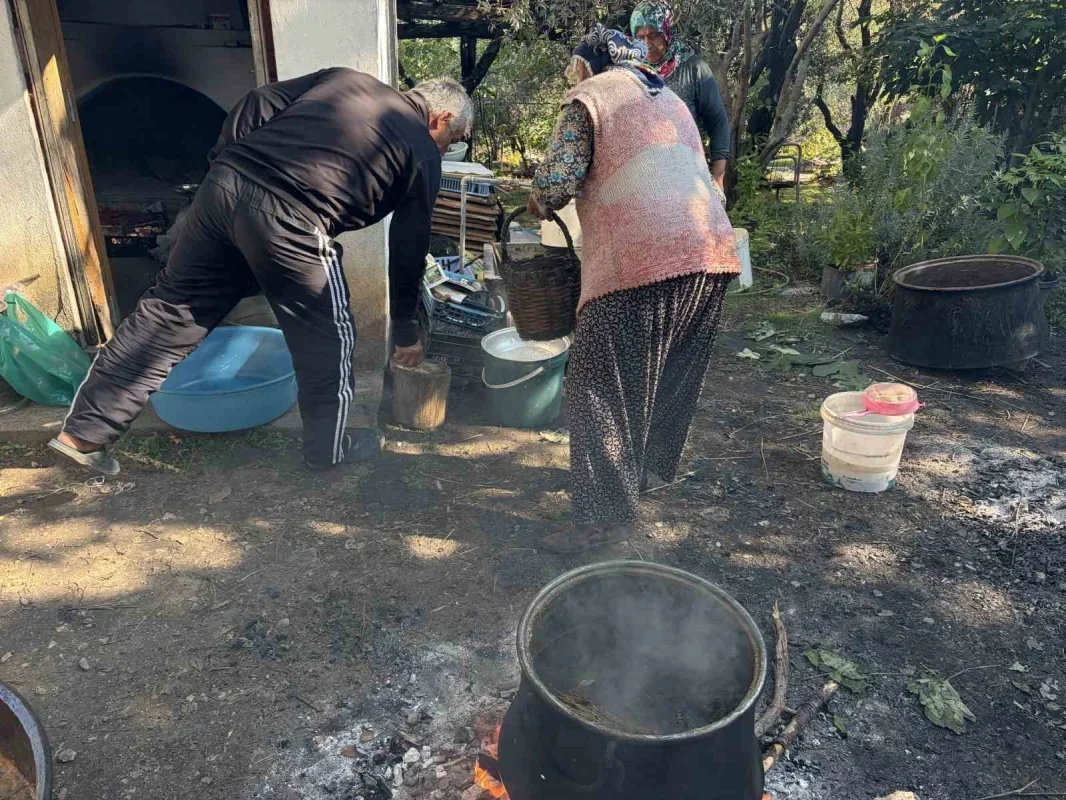Antalya İbradı'da incirler kekikli suda kışa hazırlanıyor