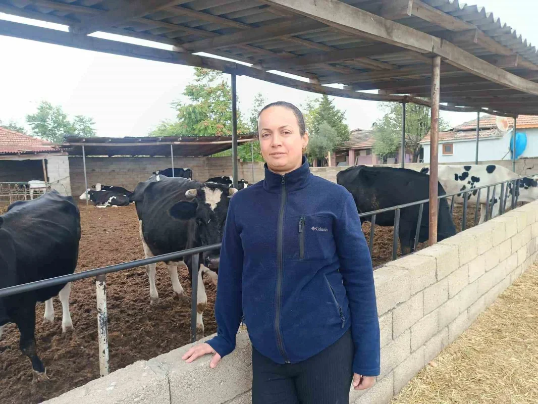 Edirne'de kadın çiftçinin sürüsü 5'ten 30'a çıktı