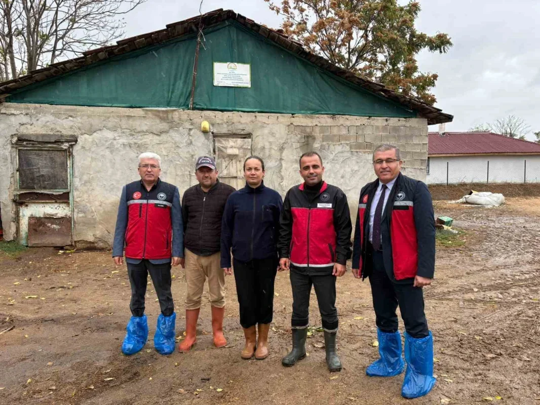 Edirne'de kadın çiftçinin sürüsü 5'ten 30'a çıktı