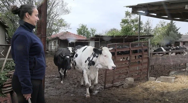 Edirne'de kadın çiftçinin sürüsü 5'ten 30'a çıktı