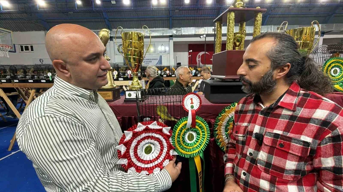 Edremit kanarya yarışmasında şampiyon Tamer Acar
