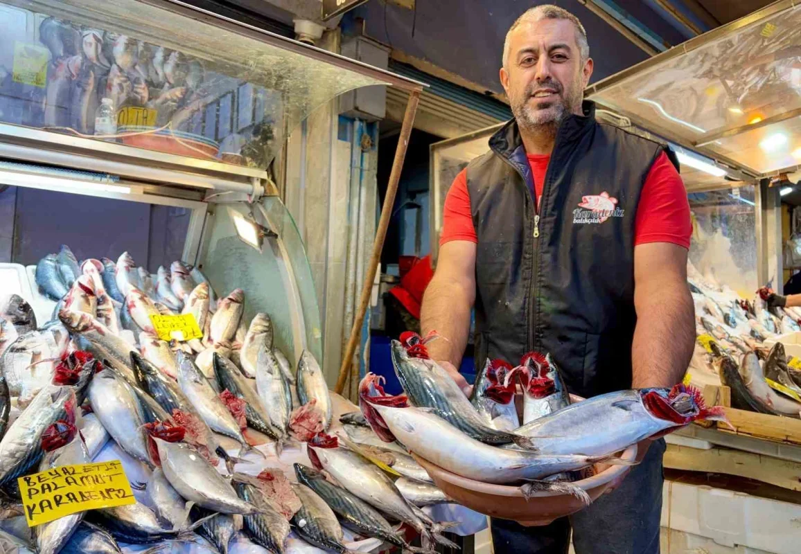 İzmir'de palamutun tanesi 100 liraya satılıyor