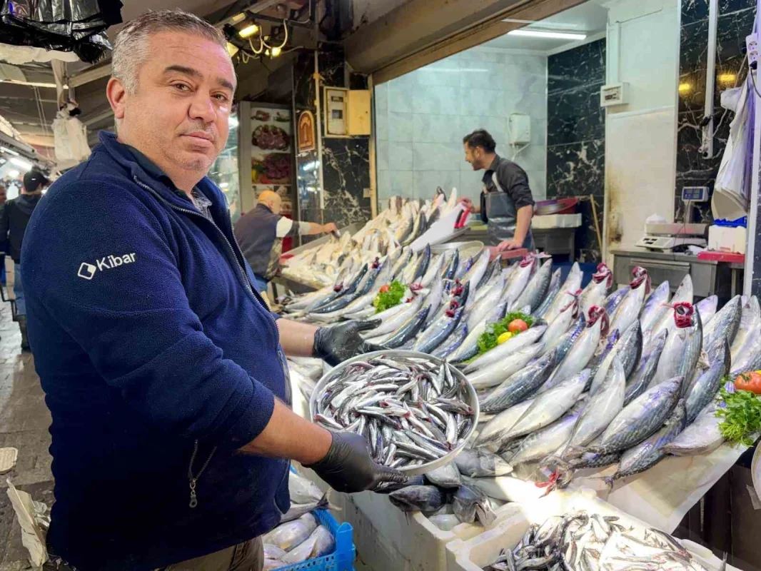 İzmir'de palamutun tanesi 100 liraya satılıyor