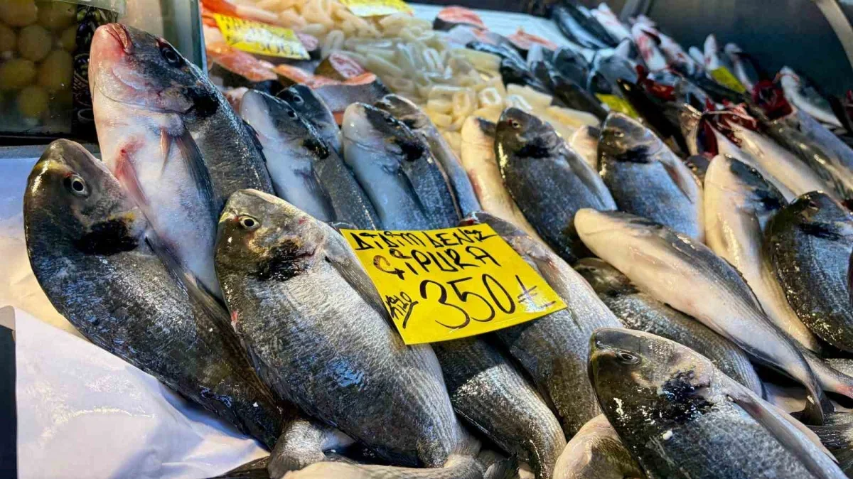 İzmir'de palamutun tanesi 100 liraya satılıyor