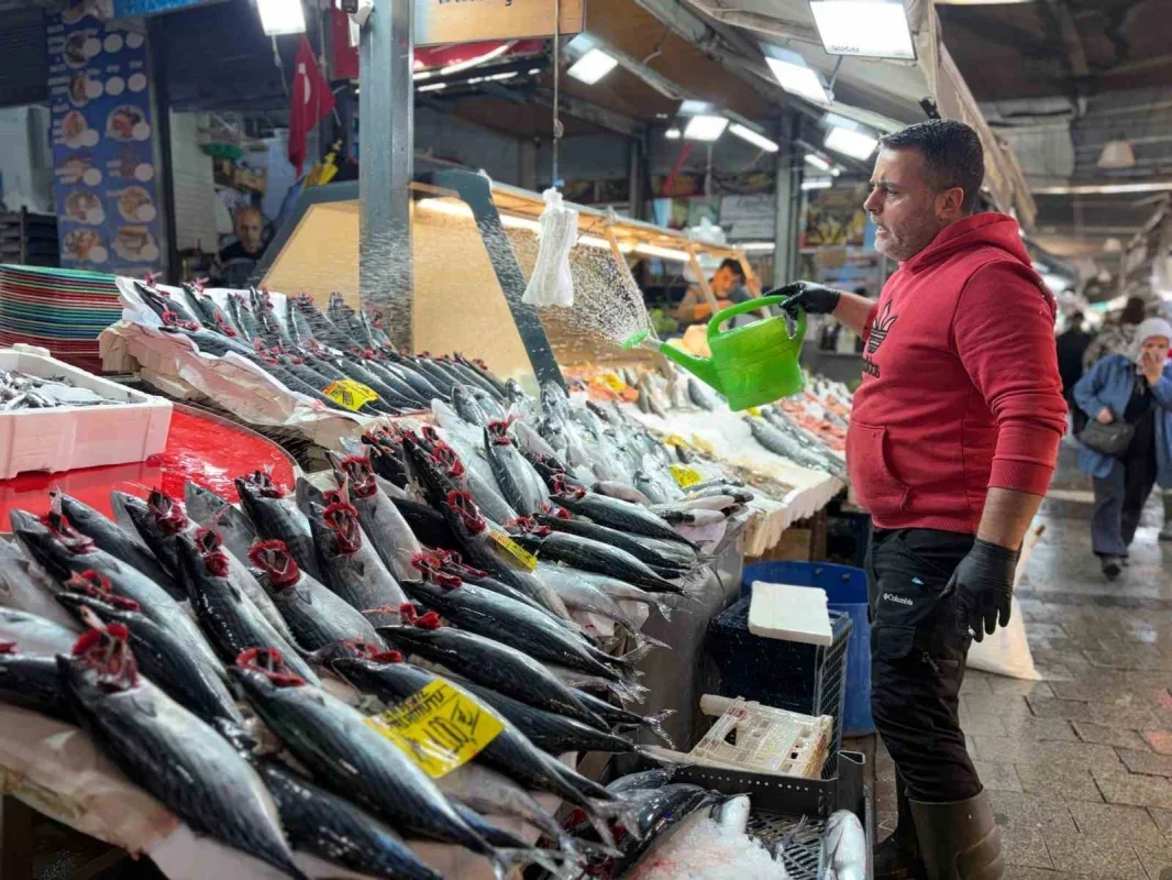 İzmir'de palamutun tanesi 100 liraya satılıyor