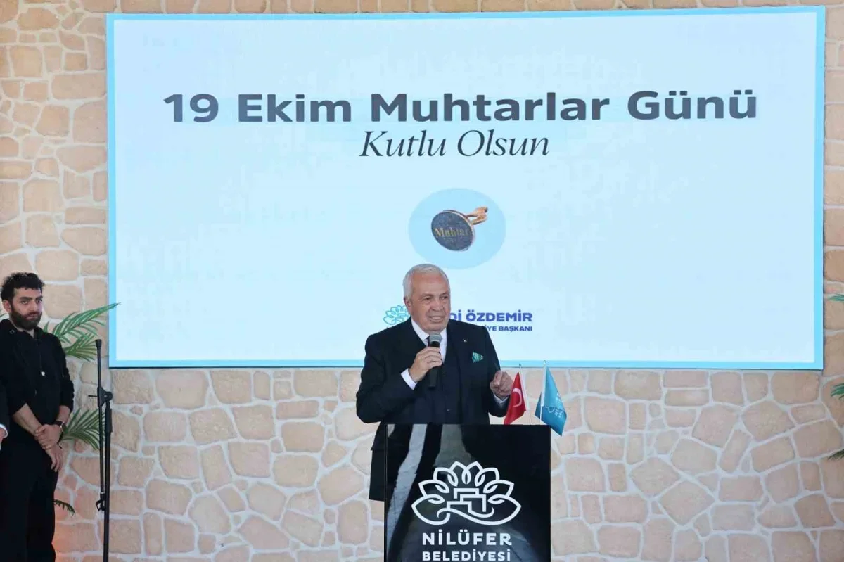 Nilüfer'de 2 milyon metrekarelik orman tehlikesi