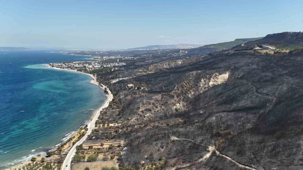 Çanakkale'de yanan orman alanları yeniden yeşeriyor