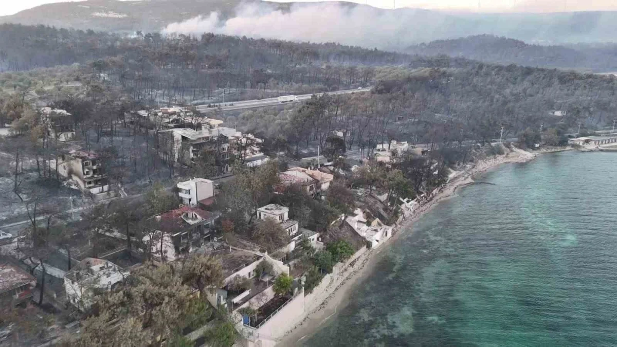 Çanakkale'de yanan orman alanları yeniden yeşeriyor