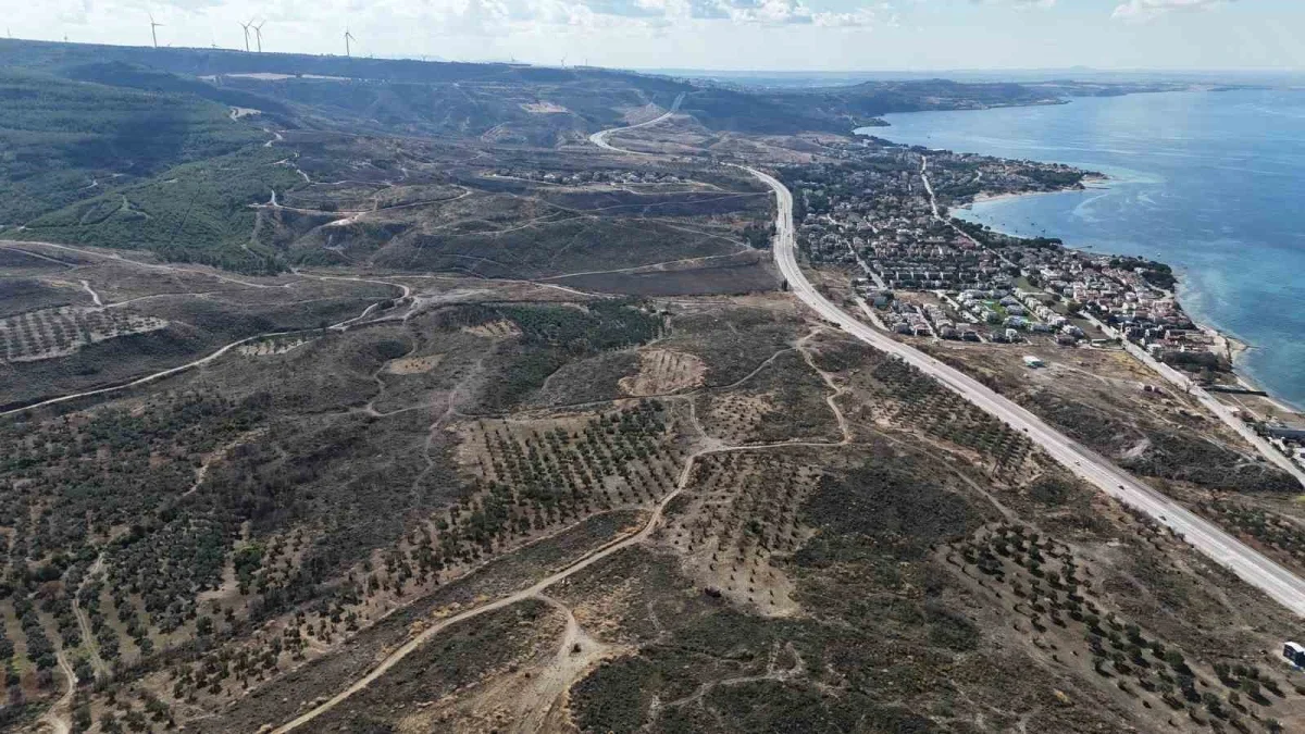 Çanakkale'de yanan orman alanları yeniden yeşeriyor
