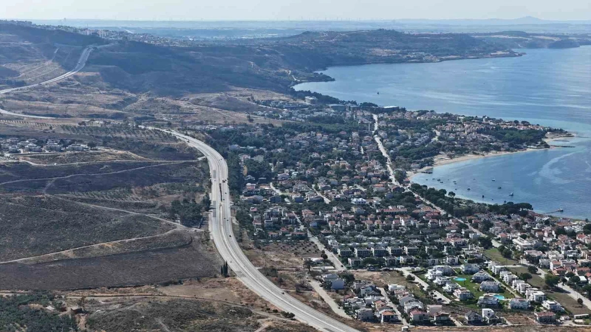 Çanakkale'de yanan orman alanları yeniden yeşeriyor