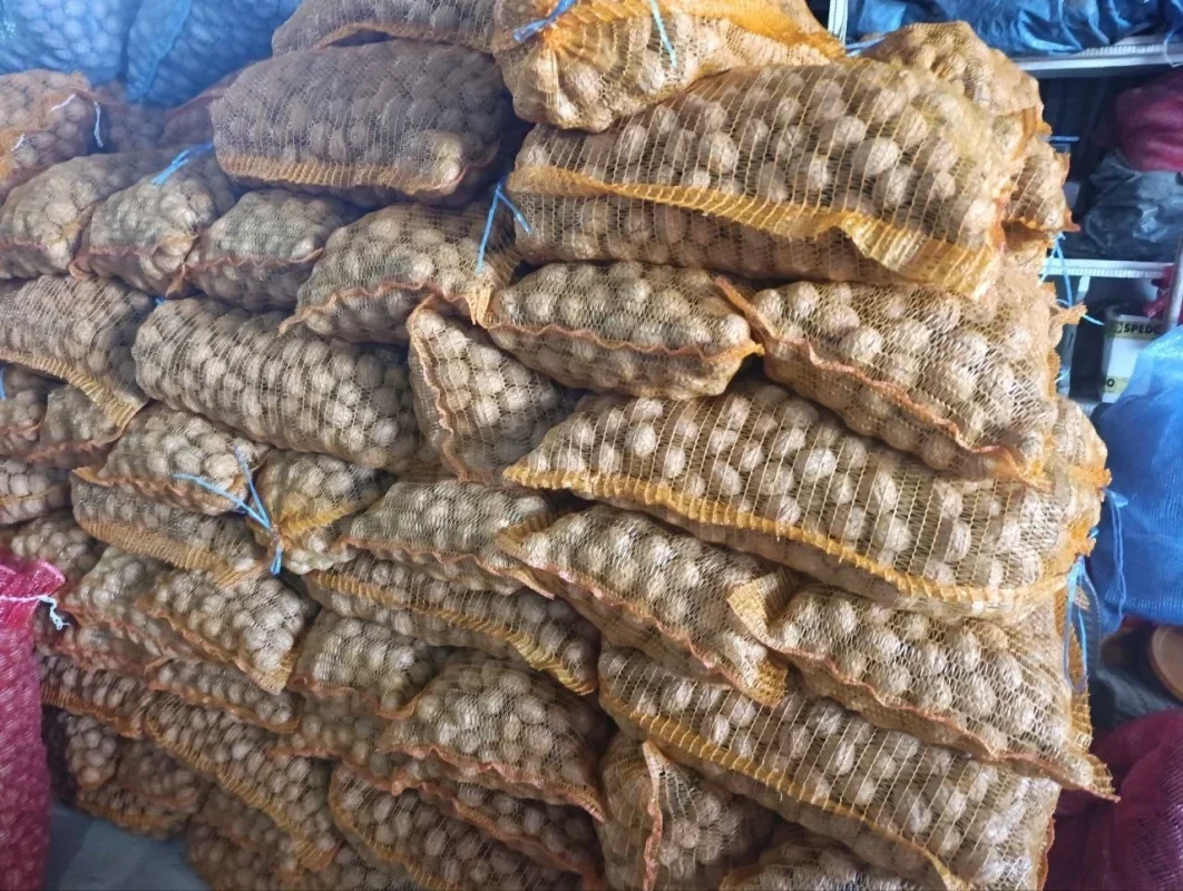 Edirne'de 400 ton ceviz rekoltesi bekleniyor
