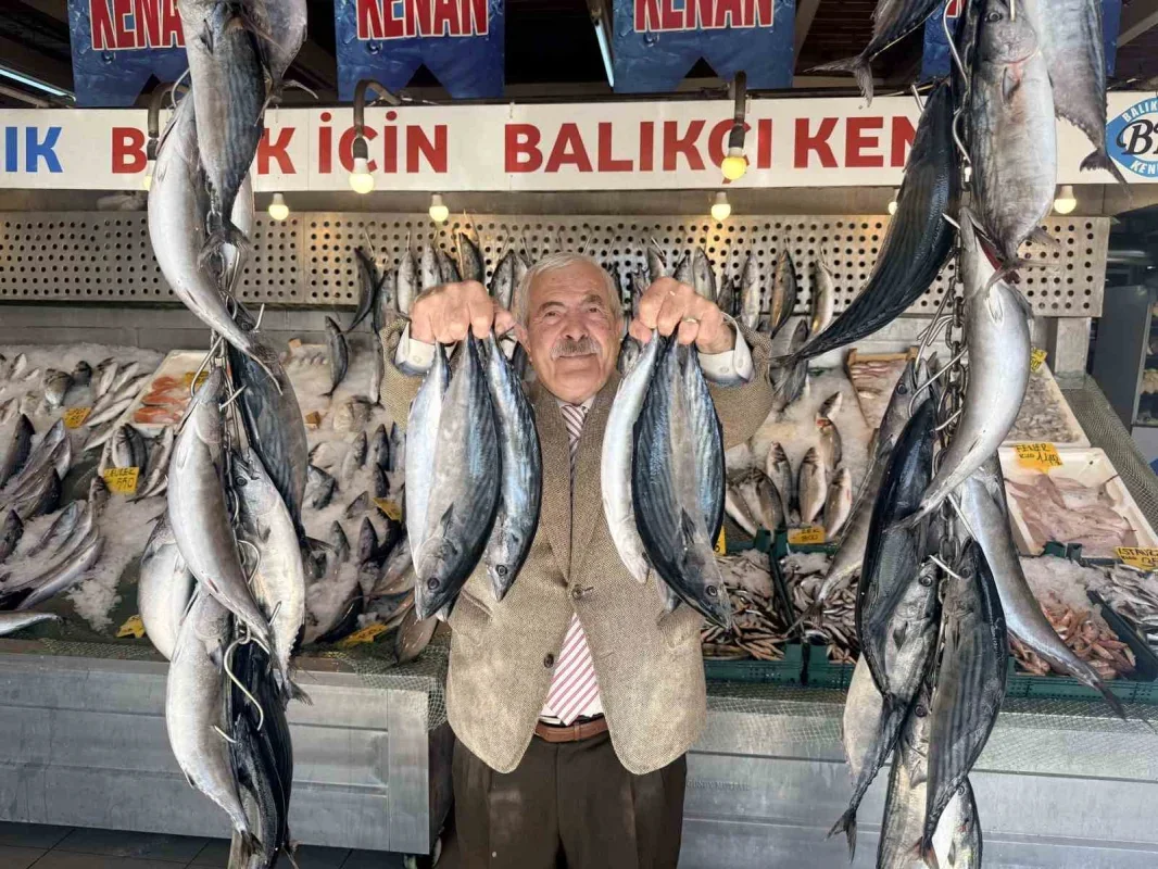 Palamutun kilosu 100 TL'ye düştü, bolluk sürüyor