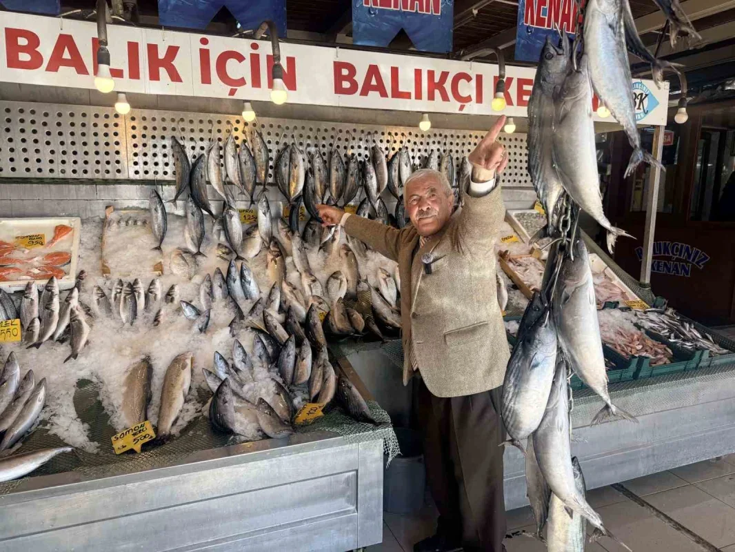 Palamutun kilosu 100 TL'ye düştü, bolluk sürüyor
