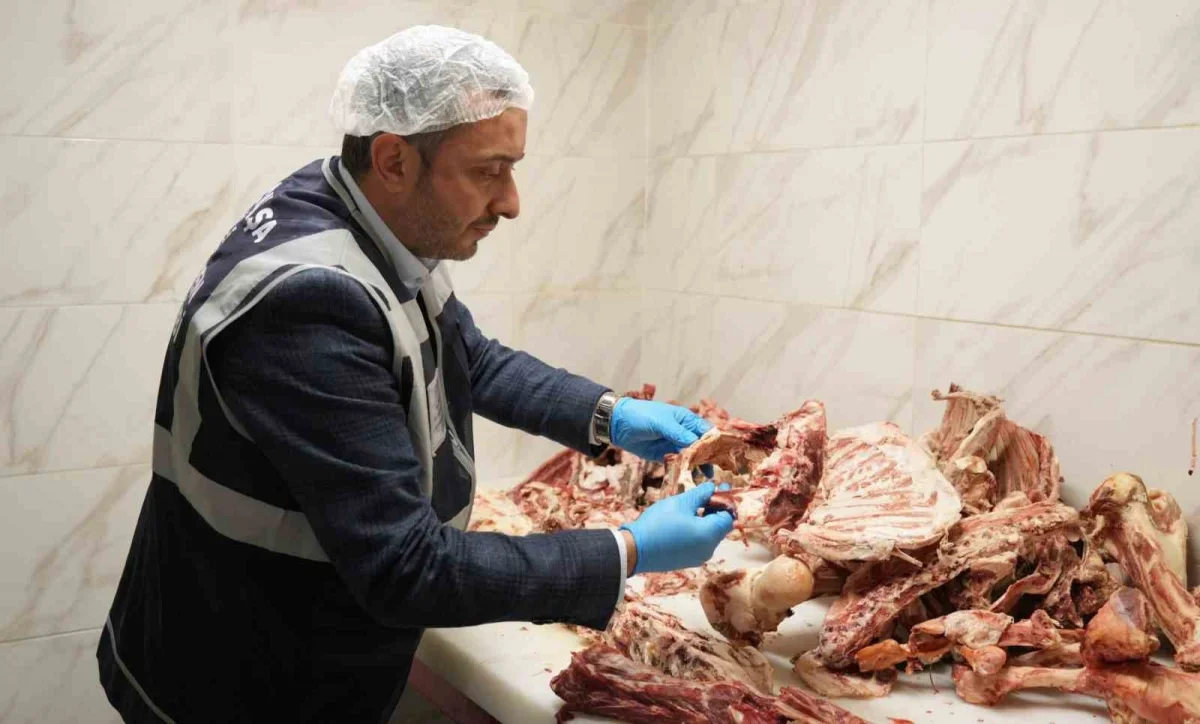 Gaziosmanpaşa'da 15 ton bozulmuş etin satışı önlendi