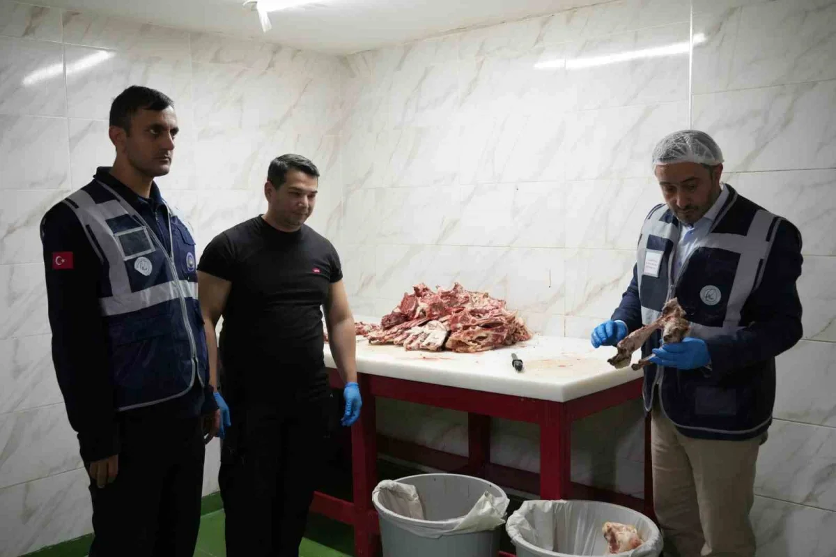 Gaziosmanpaşa'da 15 ton bozulmuş etin satışı önlendi