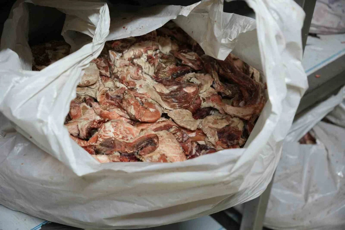 Gaziosmanpaşa'da 15 ton bozulmuş etin satışı önlendi