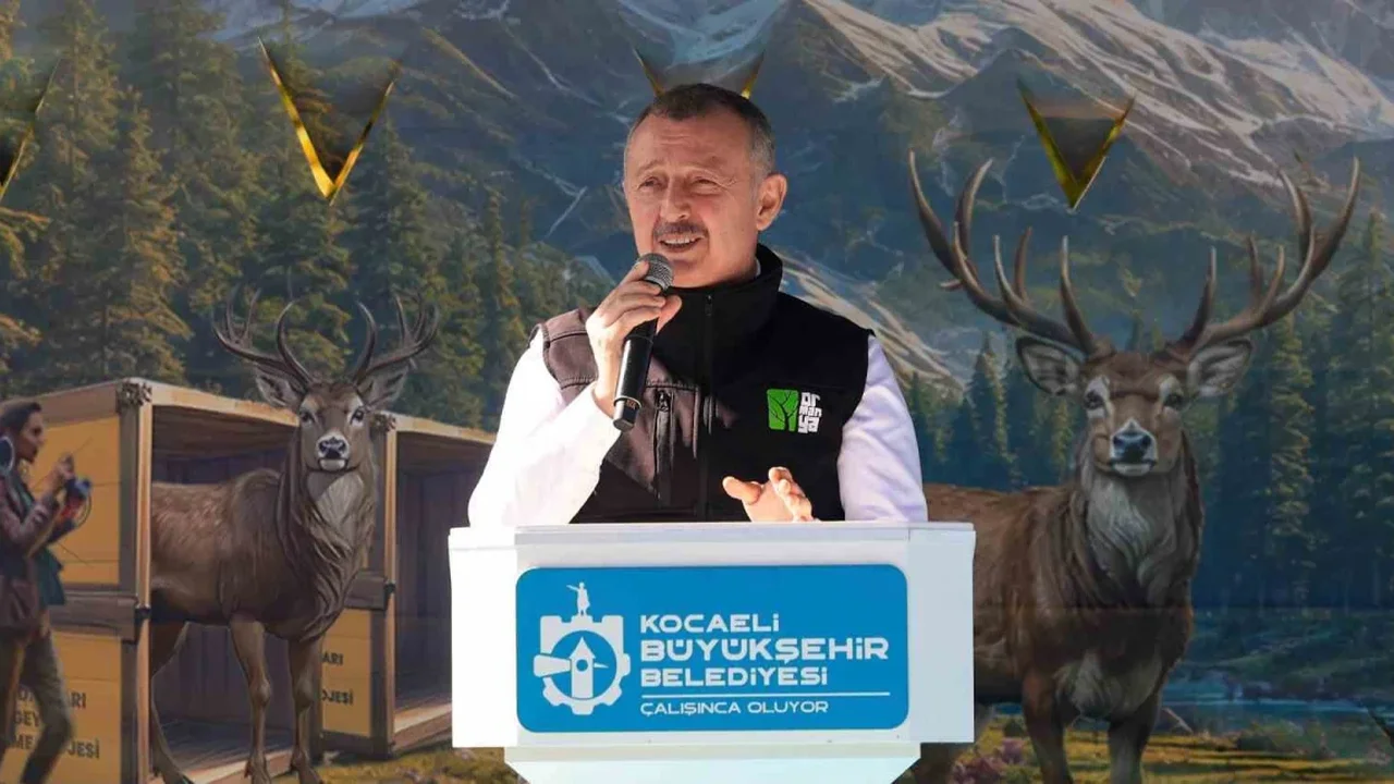 Kuzuyayla'da 9 kızıl geyik daha doğaya salındı