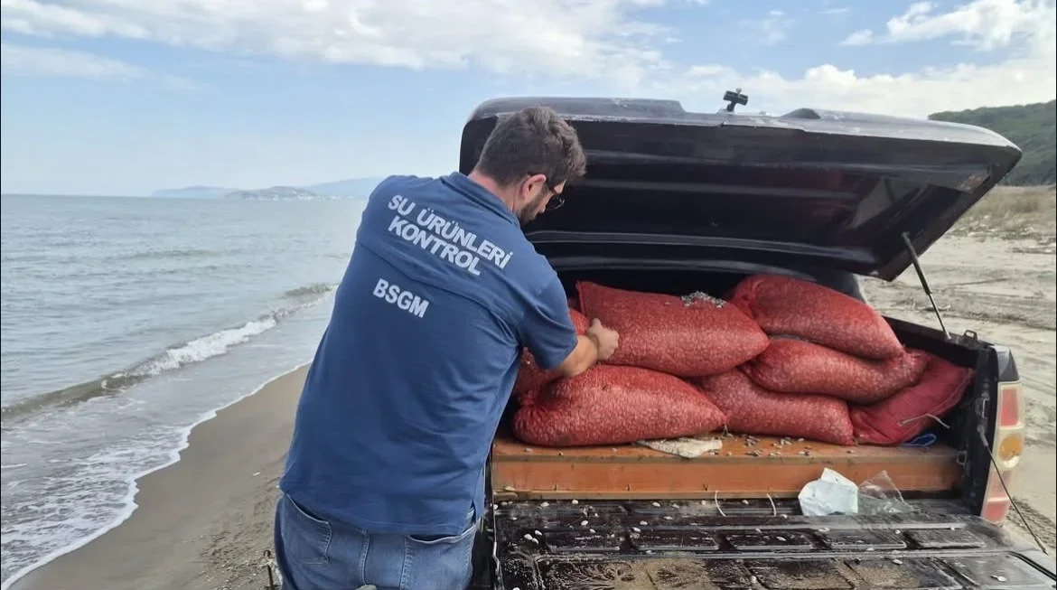 Mudanya'da 2 ton 760 kilo kum şırlanı doğaya bırakıldı