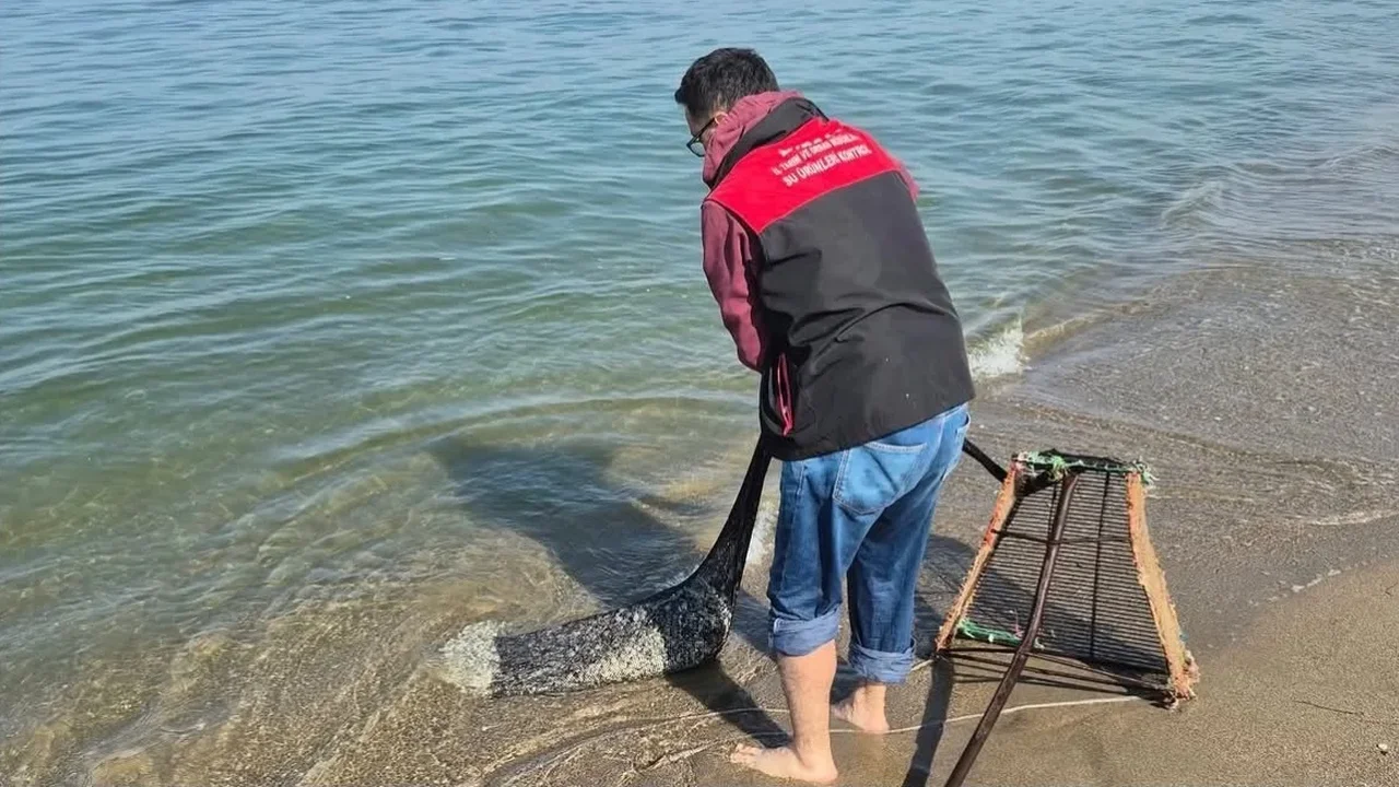 Mudanya'da 2 ton 760 kilo kum şırlanı doğaya bırakıldı