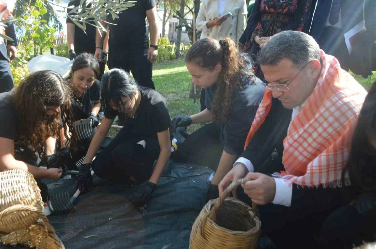 Ayvalık Zeytin Hasat Festivali'nde geleneksel üretim